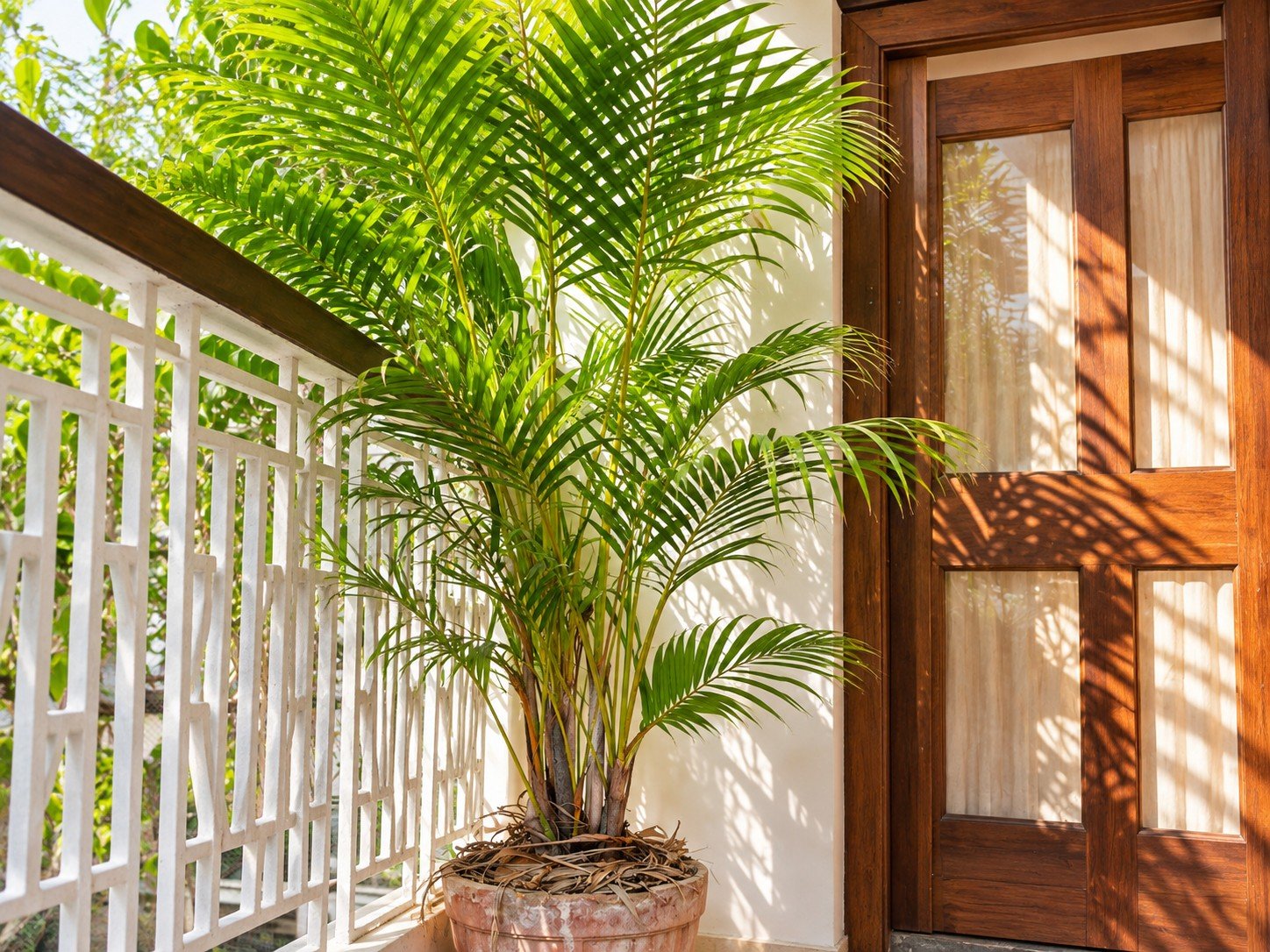 Twin Lounge at Central balcony with plants and sunlight